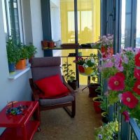 the idea of brightly decorating the corners of the photo