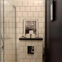 idea of a bright style bathroom picture
