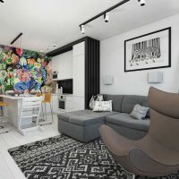 design inhabituel d'un exemple d'image d'un appartement de 2 pièces
