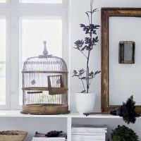 the idea of a bright apartment design with a decorative photo cage