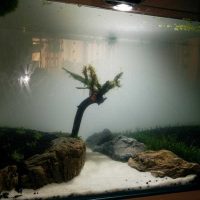 The idea of the original design of the aquarium photo