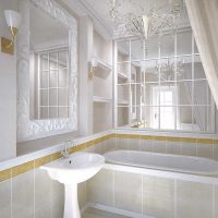 idea of modern style large bathroom picture