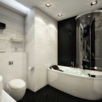 idea of a modern style of the bathroom in black and white