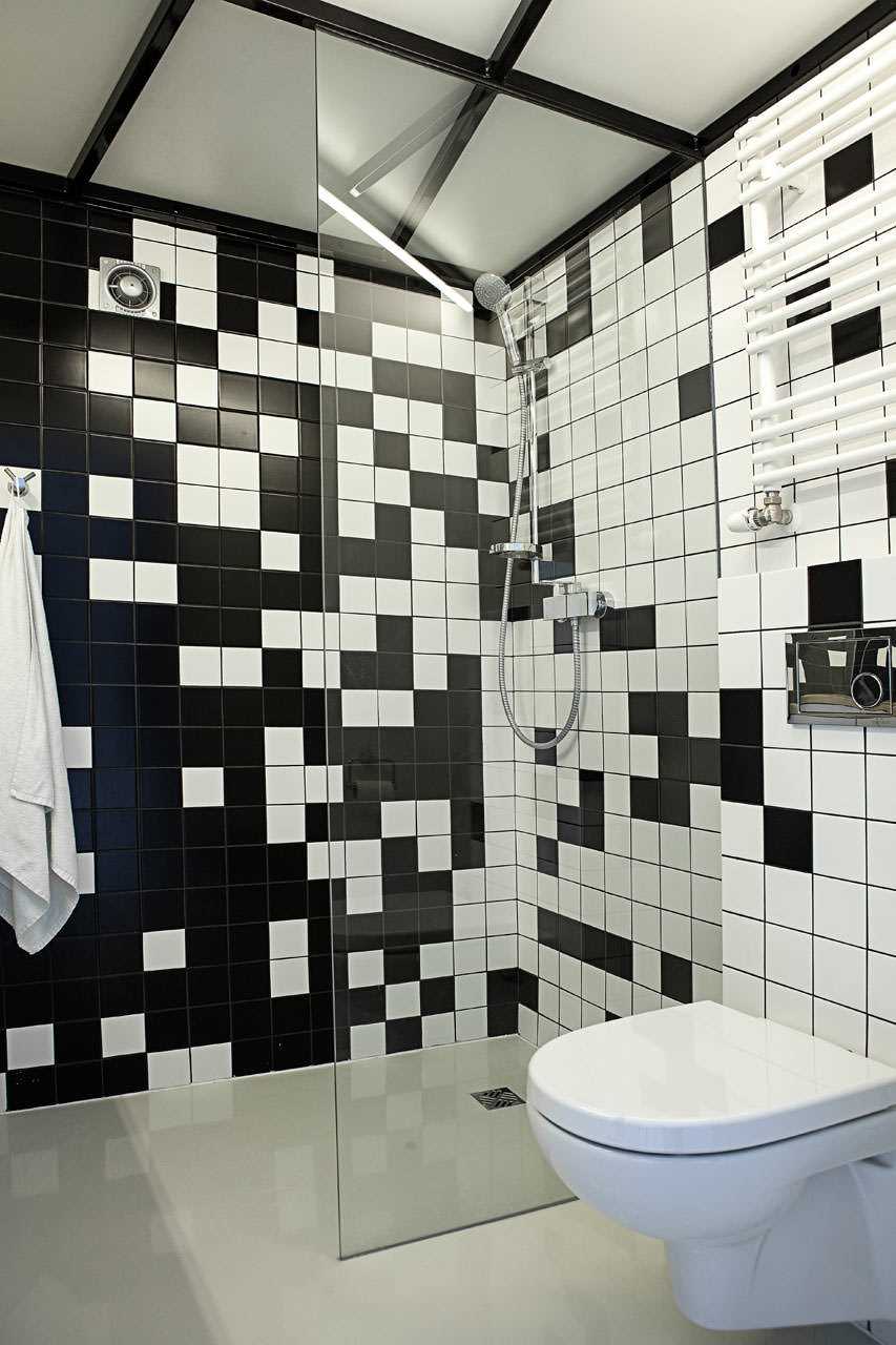 the idea of an unusual style of the bathroom in black and white