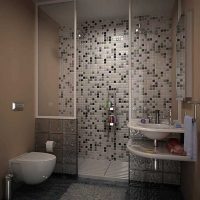 the idea of ​​an unusual interior of the bathroom 2017 photo