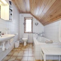 the idea of a beautiful design of a bathroom with a photo window