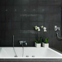 idea of a beautiful bathroom interior in black and white photo