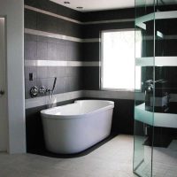 the idea of a bright bathroom design in black and white