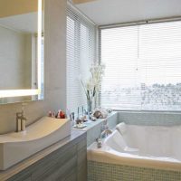 idea of modern style bathroom with window picture