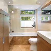 idea of an unusual interior of a bathroom with a window picture