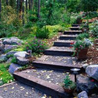 la possibilité d'utiliser des plantes lumineuses dans l'aménagement paysager de la photo du chalet