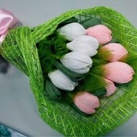 the idea of using a design suite in an unusual style for a man photo