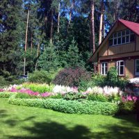 l'idée d'utiliser des plantes lumineuses dans l'aménagement paysager de donner une photo