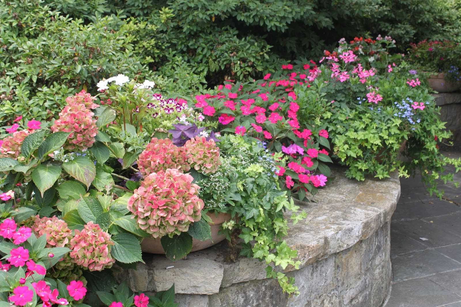 l'idée d'utiliser des plantes lumineuses dans l'aménagement paysager de la maison