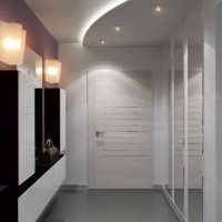 idea of a beautiful decor of a modern hallway of a room picture
