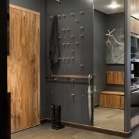 idea of bright design of a modern hallway picture