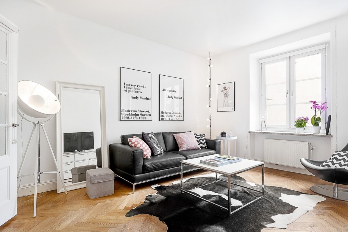idea of a beautiful scandinavian style apartment