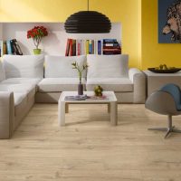 the idea of using a light laminate in a bright style at home photo