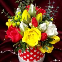 the idea of using a design suite in a bright style for a man picture