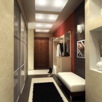 the idea of an unusual style of a modern hallway room picture