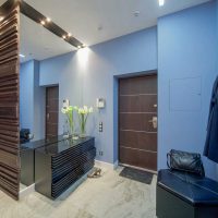 light design idea of a modern hallway photo room