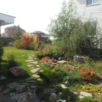 un exemple d'utilisation de plantes inhabituelles dans l'aménagement paysager consistant à donner une photo