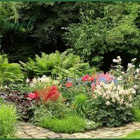 l'idée d'utiliser des plantes inhabituelles dans l'aménagement paysager d'une maison