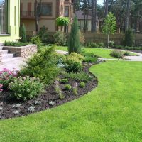 exemple d'utilisation de belles plantes dans l'aménagement paysager d'une image de maison