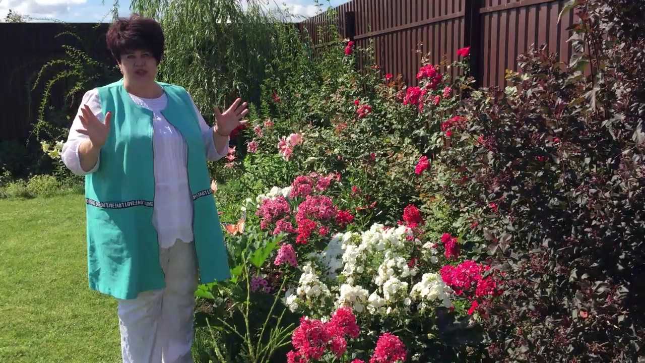 l'idée d'utiliser des plantes lumineuses dans l'aménagement paysager de la maison