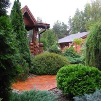 l'idée d'utiliser des plantes lumineuses dans l'aménagement paysager donnant une photo