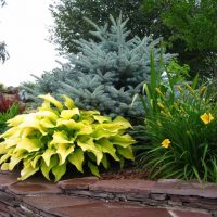 Un exemple d'utilisation de belles plantes dans l'aménagement paysager