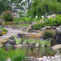 Variante d'application de plantes lumineuses dans l'aménagement paysager d'une maison