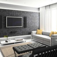 the idea of an unusual style of the hall in a private house picture