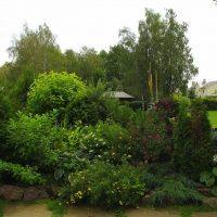 l'idée d'utiliser de belles plantes dans des chalets paysagers picture