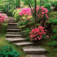 l'idée d'utiliser des plantes lumineuses dans l'aménagement paysager de la photo du chalet