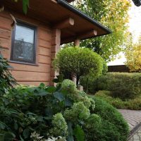 l'idée d'utiliser des plantes lumineuses dans la conception de paysages à la maison