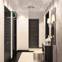 idea of a beautiful style of a modern hallway picture