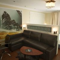 idea of a light decor bedroom living room picture