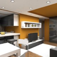 design spacieux d'un appartement d'une pièce
