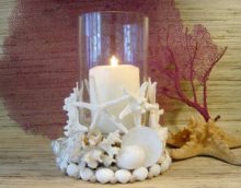 seashell decor