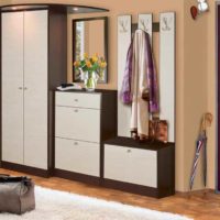 light style idea of a small hallway photo