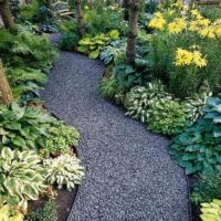 the idea of using light garden paths in landscaping picture