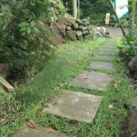 the idea of using beautiful garden paths in landscaping picture