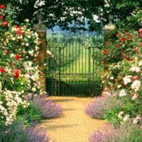 version of the light decor of the front garden at the cottage picture