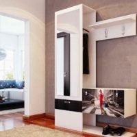 idea of unusual interior of a small hallway photo