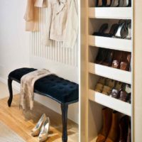 the idea of a beautiful design of a small hallway photo