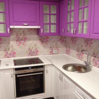 un exemple d'une belle cuisine design photo 13 m²