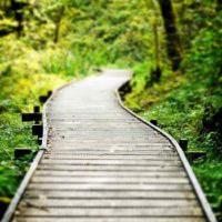 the idea of using unusual garden paths photo