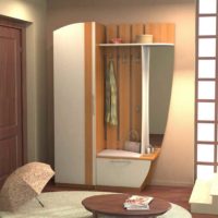 idea of a bright interior of a small hallway photo