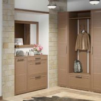 idea of unusual decor of the hallway in a private house picture